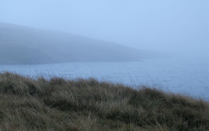 A foggy morning over the lake