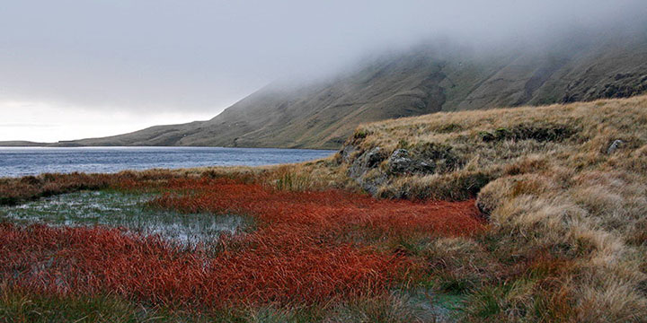 Red Pool and More Hill Fog