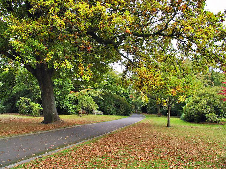 Clyne Gardens Clyne Gardens