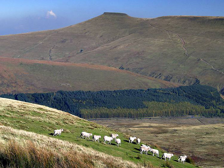 Corn Du from Fan Fawr