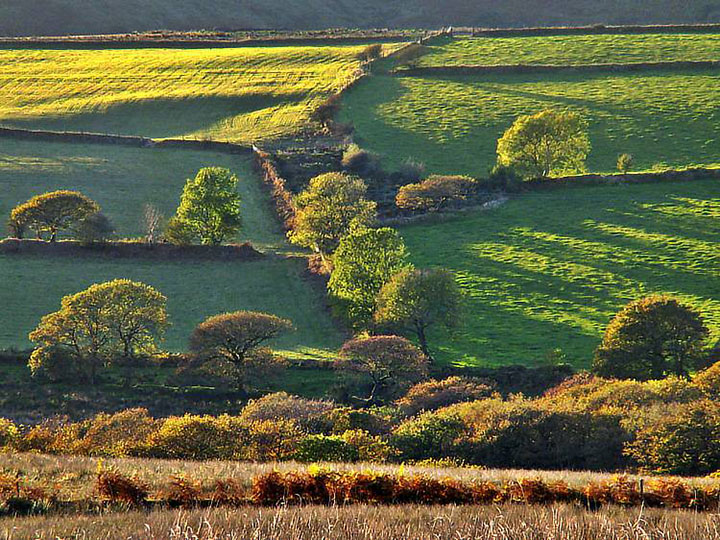 Mynydd y Gwair