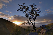 Photo Galleries