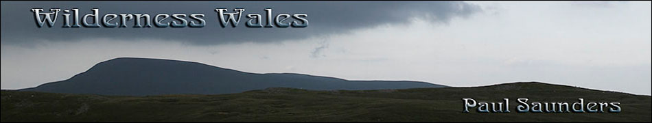 Wilderness Wales